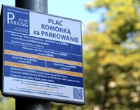 Radni zdecydują o ustawieniu parkomatów w strefie płatnego parkowania