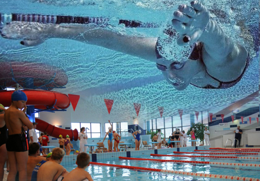 Ilustracja do artykułu VI Mistrzostwa Michalowa w pływanium.jpg
