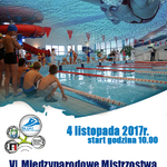 Ilustracja do artykułu VI Mistrzostwa Michalowa w pływaniu.jpg