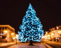 Ilustracja do artykułu city-tree-bokeh-christmas-21430.jpg