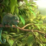 Ilustracja do artykułu Kids 7+_Our Wonderful Nature – The Common Chameleon 3.jpg