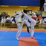 Ilustracja do artykułu zawody karate (2).JPG