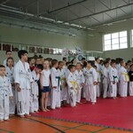 Zawodnicy taekwondo.JPG