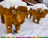 Drewniane figurki żubrów stojące i przykryte śniegiem