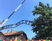 Napis "Arbeit macht frei" wraz z podniesionym szlabanem. Po prawej widoczne gałęzie drzewa