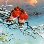 Dwa ptaki siedzą na gałęzi na tle zachodzącego słońca. Krajobraz w śniegu.