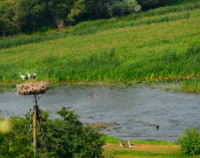 Światowy Dzień Rzek i  Rzeka Roku 2014