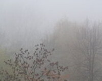 Silna mgła na Suwalszczyźnie