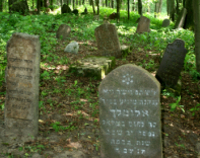 Cmentarz żydowski w Knyszynie odzyskuje swoją historię