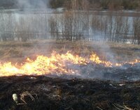 Spłonęło 150 ha biebrzańskich łąk. Ogromne straty w ekosystemie