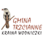 Logo Gminy Trzcianne