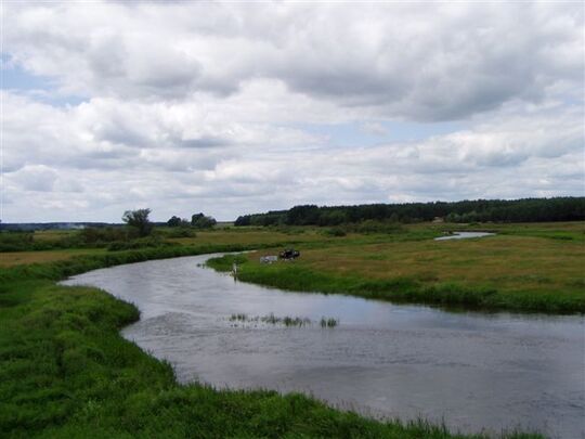 Rzeka Narew w okolicach wsi Ploski
