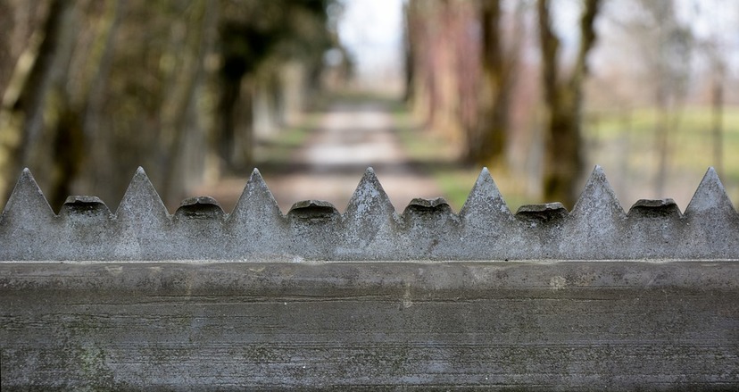 Ilustracja do artykułu fence-691095_960_720.jpg