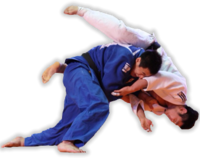 Ilustracja do artykułu judo1.png