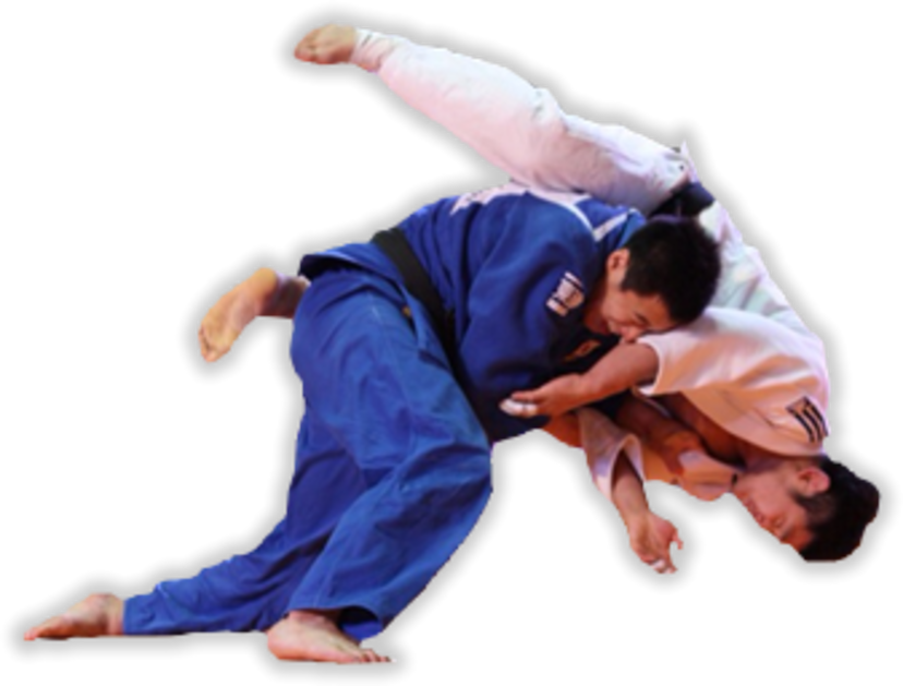 Ilustracja do artykułu judo1.png