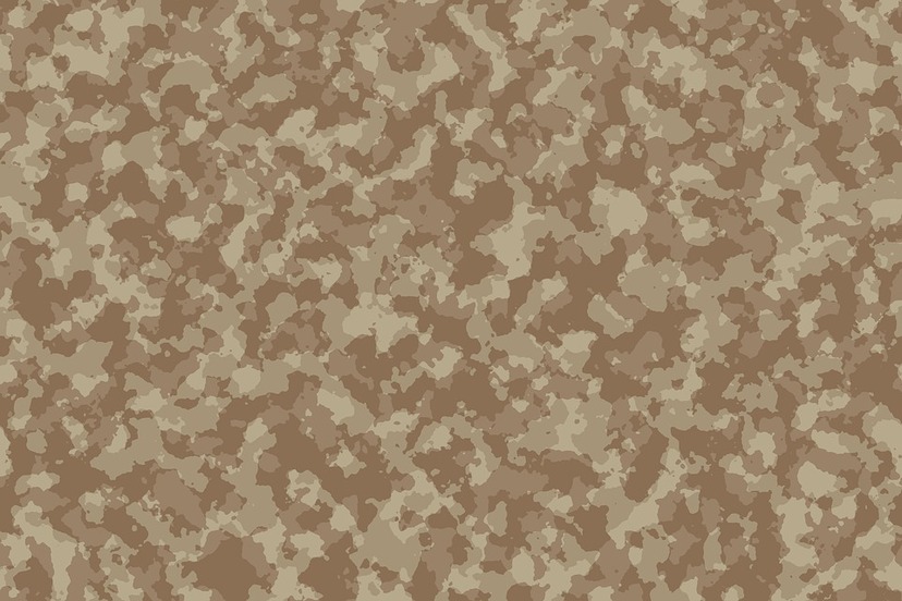 Ilustracja do artykułu camouflage-1581003_960_720.jpg