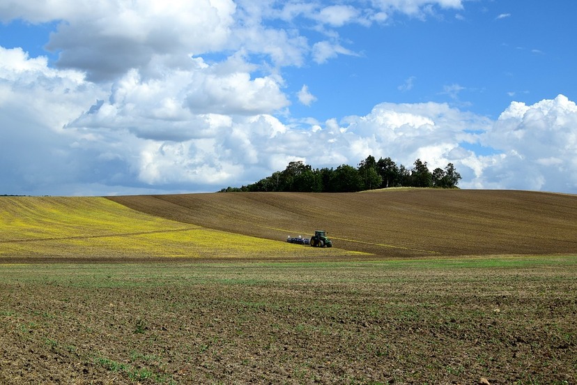 Ilustracja do artykułu arable-1642639_960_720.jpg