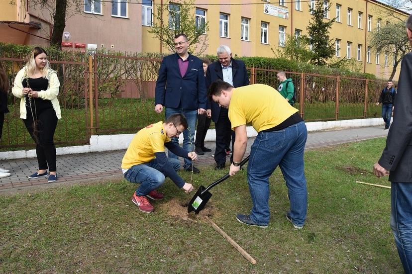 Ilustracja do artykułu sadzenie drzw w Sejnach (21).JPG