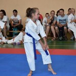 Ilustracja do artykułu zawody karate (8).jpg