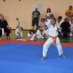 Ilustracja do artykułu zawody karate (7).jpg