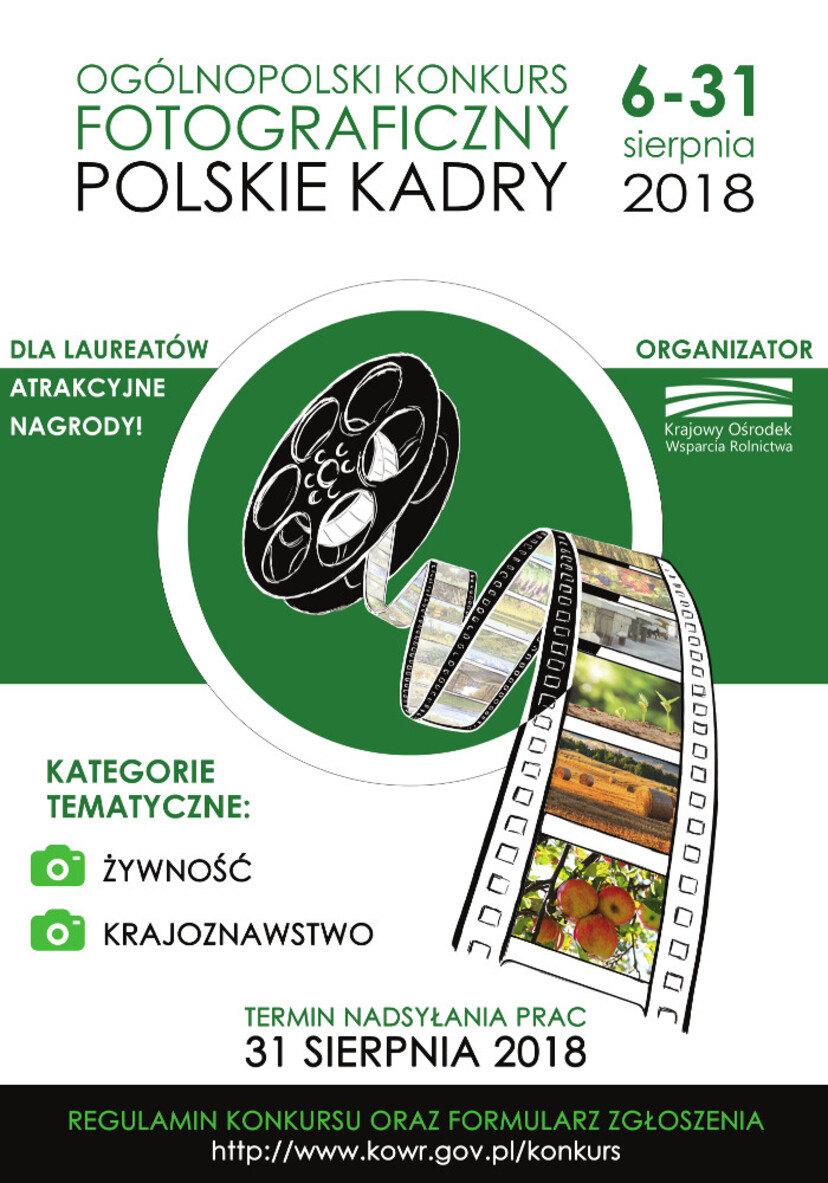 Ilustracja do artykułu plakat_Polskie kadry4.jpg