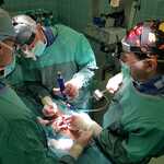 trzech chirurgów w trakcie operacji kręgosłupa