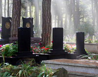 Ilustracja do artykułu Tatarian_Cemetery_Kruszyniany_Poland.jpg
