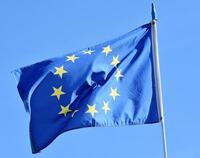Ilustracja do artykułu Flaga unijna.jpg