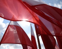 Flagi Polski łopocą na wietrze.