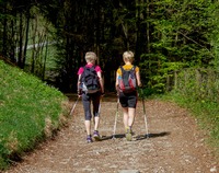 Dwie kobiety idą leśną ścieżką wspierając się sportowymi kijkami