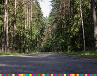 Asfaltowa droga biegnąca przez las.