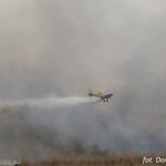 Ilustracja do artykułu Samolot Dromader gasi pożar w Biebrzańskim PN Fot. Dominika Szczepura.jpg