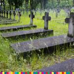 Ilustracja do artykułu 06.06.2020 Sprzątanie Cmentarza Wojskowego (13 of 32).jpg