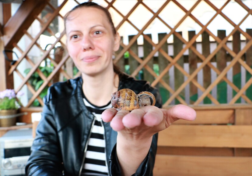 Agnieszka Tercjak prezentuje ślimaki na wyciągniętej dłoni.