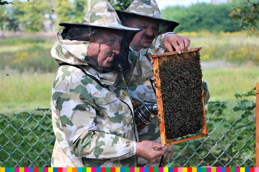 Dwóch mężczyzn w stroju pszczelarza. Jeden z nich trzyma w dłoniach plaster miodu z pszczołami