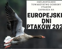 Plakat z napisem Ogólnopolskie Towarzystwo Ptaków zaprasza na Europejskie Dni Ptaków 2020. Obok napisu znajduje się lecący ptak.