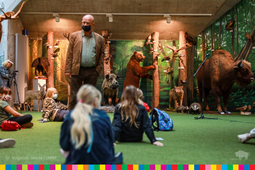 W tle eksponaty wypchanych zwierząt. Na zielonym dywanie siedzą dzieci.