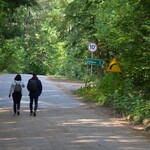 Mężczyzna i kobieta idą drogą prowadząca przez las 