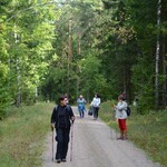 Kilka osób na leśnej ścieżce uprawia sport