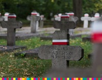Krzyże na nagrobkach żołnierskich mogił. Na nich biało-czerwone wstążki