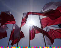 Biało-czerwone flagi na tle słonecznego nieba.