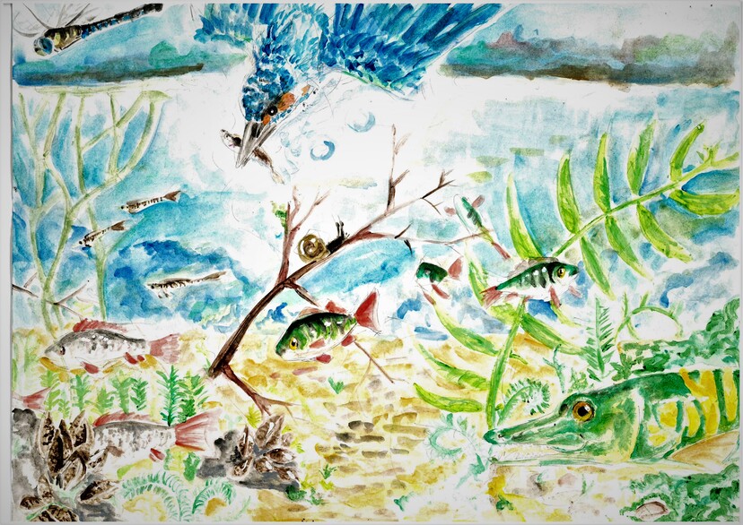 Rysunek przedstawiający jezioro, ryby rośliny