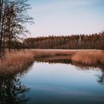 Zdjęcie jeziora w  Białobrzegach