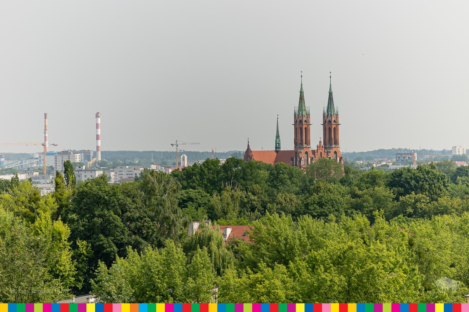 Wieże kościoła farnego w Białymstoku wystające z zieleni