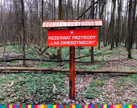Stojąca w lesie tablica o treści "Rezerwat Przyrody Las Zwierzyniecki"
