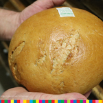 Bohenek chleba drohiczyńskiego trzymany w dwóch dłoniach