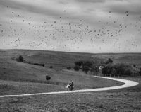 Wzgórza, na tle zachmurzonego nieba widać lecące ptaki. Po wąskiej ścieżce brodaty mężczyzna prowadzi rower.