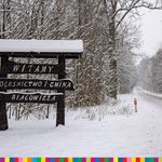 Drewniany znak stojący przy zaśnieżonej drodze w lesie