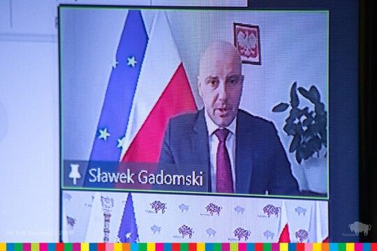Minister Gadomski podczas spotkania online.