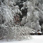 Drzewa, krzewy, płot i kapliczka pokryte śniegiem.